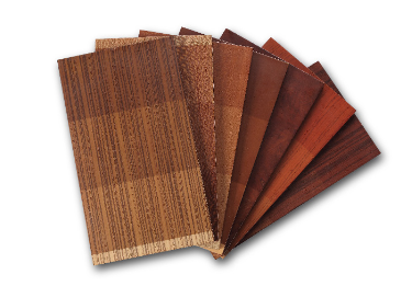 聯(lián)塑款式豐富 時(shí)尚家裝