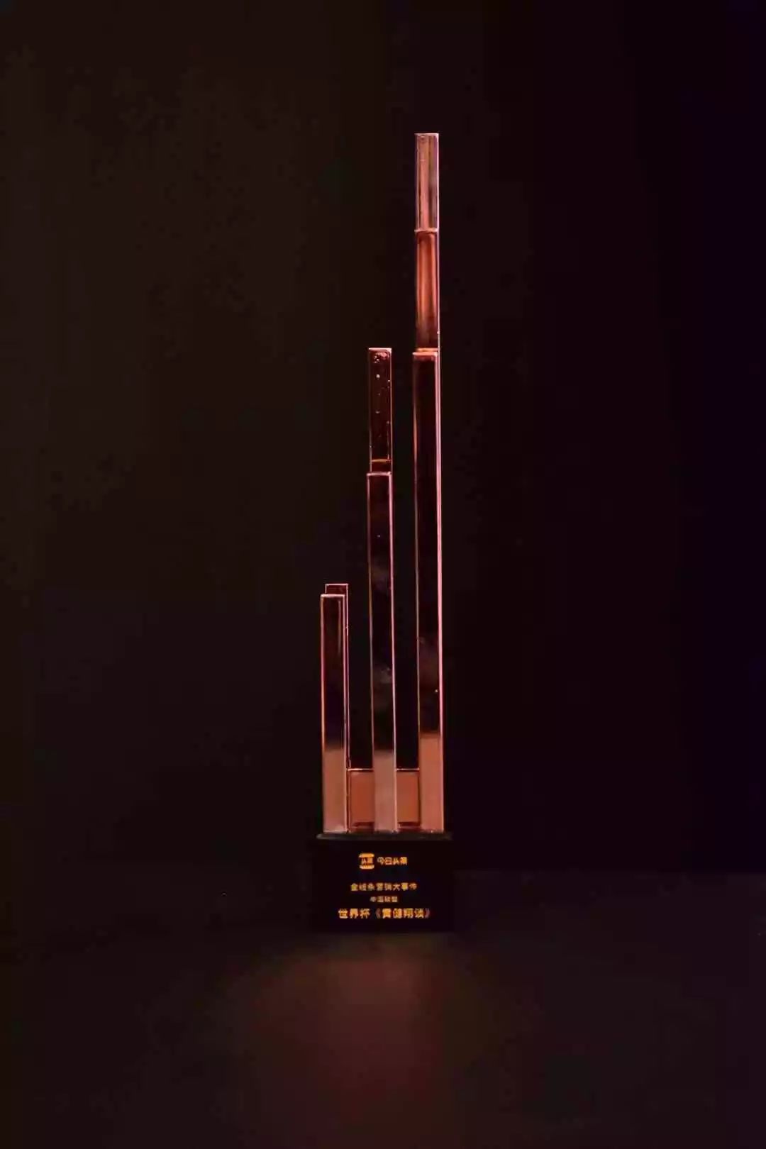 金線條營(yíng)銷品牌獎(jiǎng)——中國(guó)聯(lián)塑《世界杯——黃健翔談》